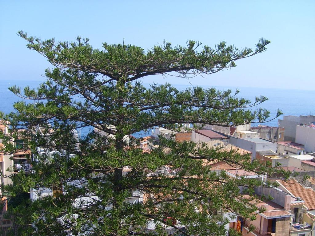 לטויאני Hotel Delle Palme מראה חיצוני תמונה